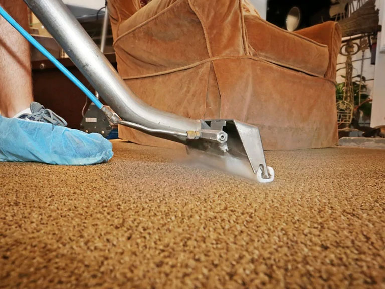 rug cleaning