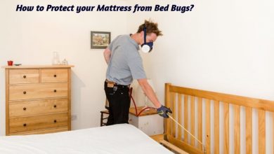 bed bug pest control specialist