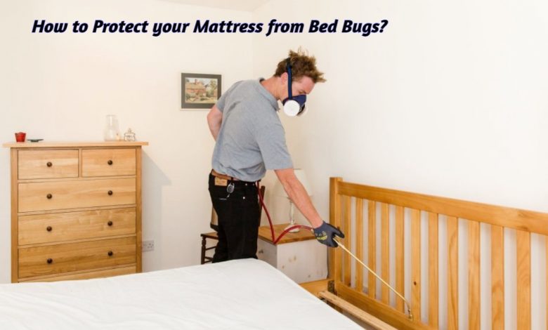 bed bug pest control specialist