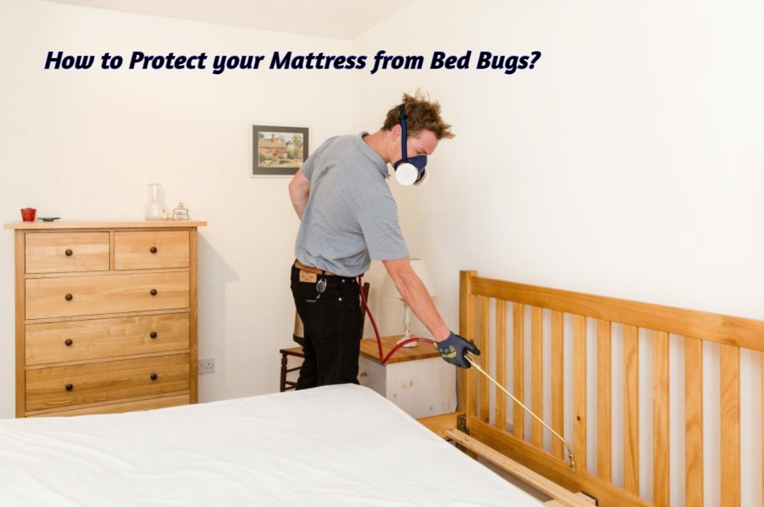 bed bug pest control specialist