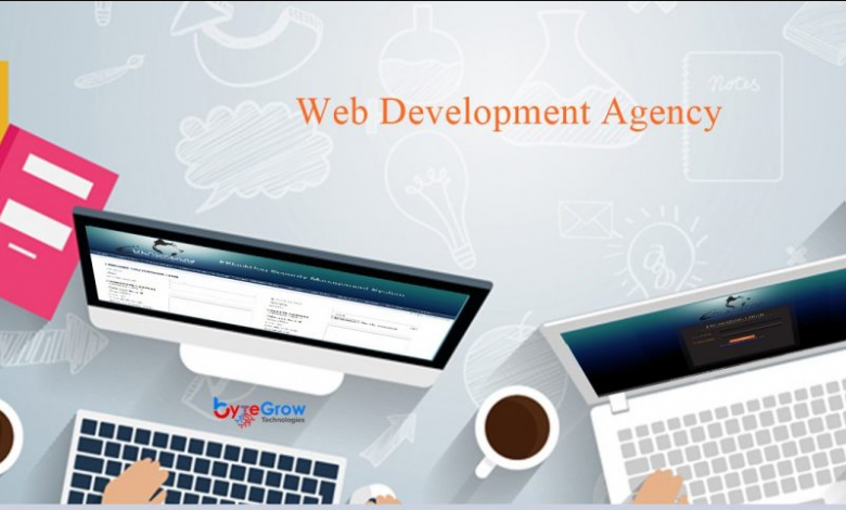 Web development agency