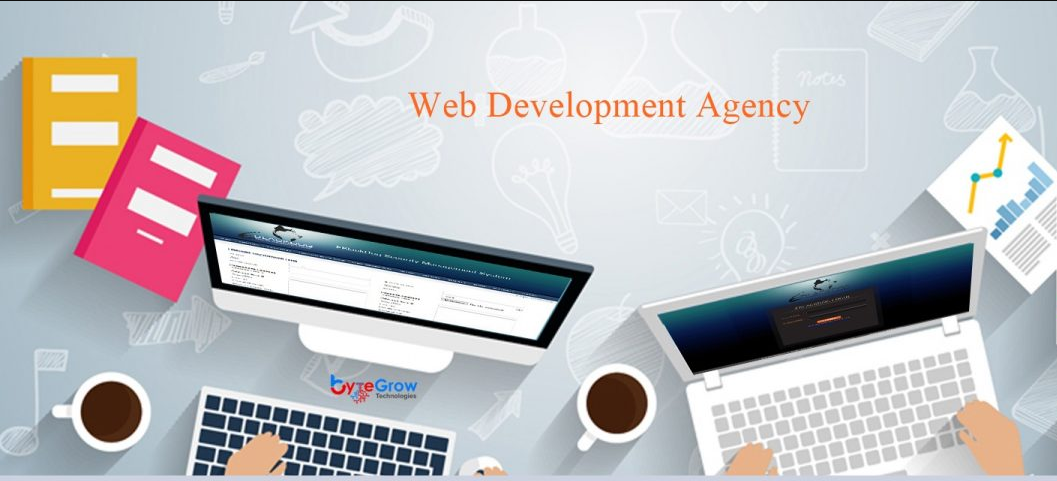 Web development agency