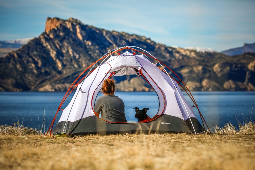 Camping with Pets