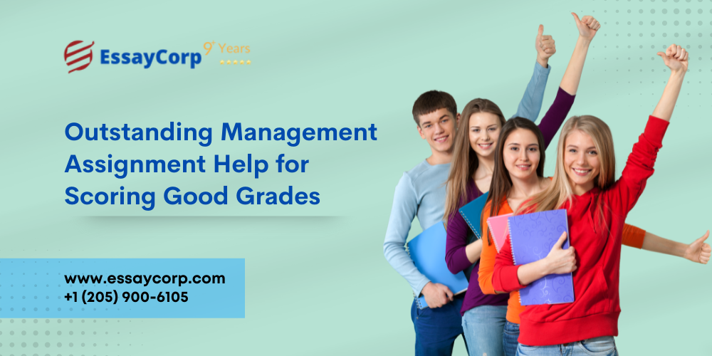 Management Assignment Help