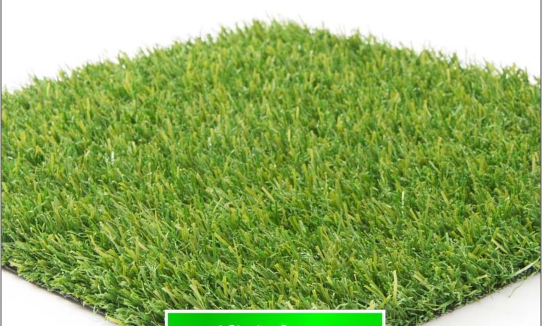 the Cheapest Artificial Grass