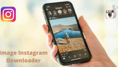 instagram video download online | instavideosdownloader