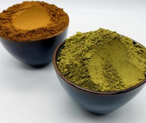 Kratom (Mitragyna speciosa)