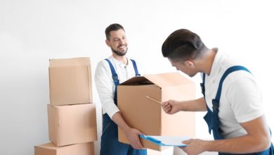 Professional Mover and Packer In UAE