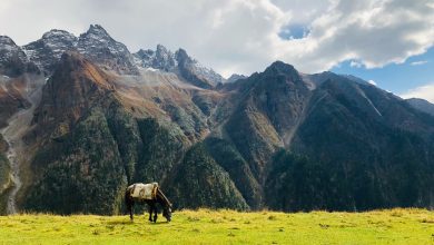 Buran Ghati Trek