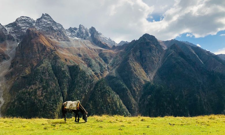 Buran Ghati Trek