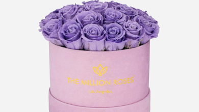 Violet Roses