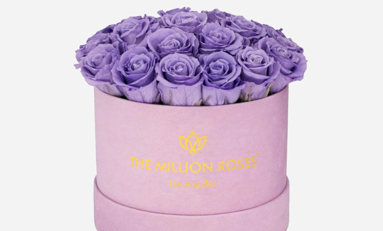 Violet Roses