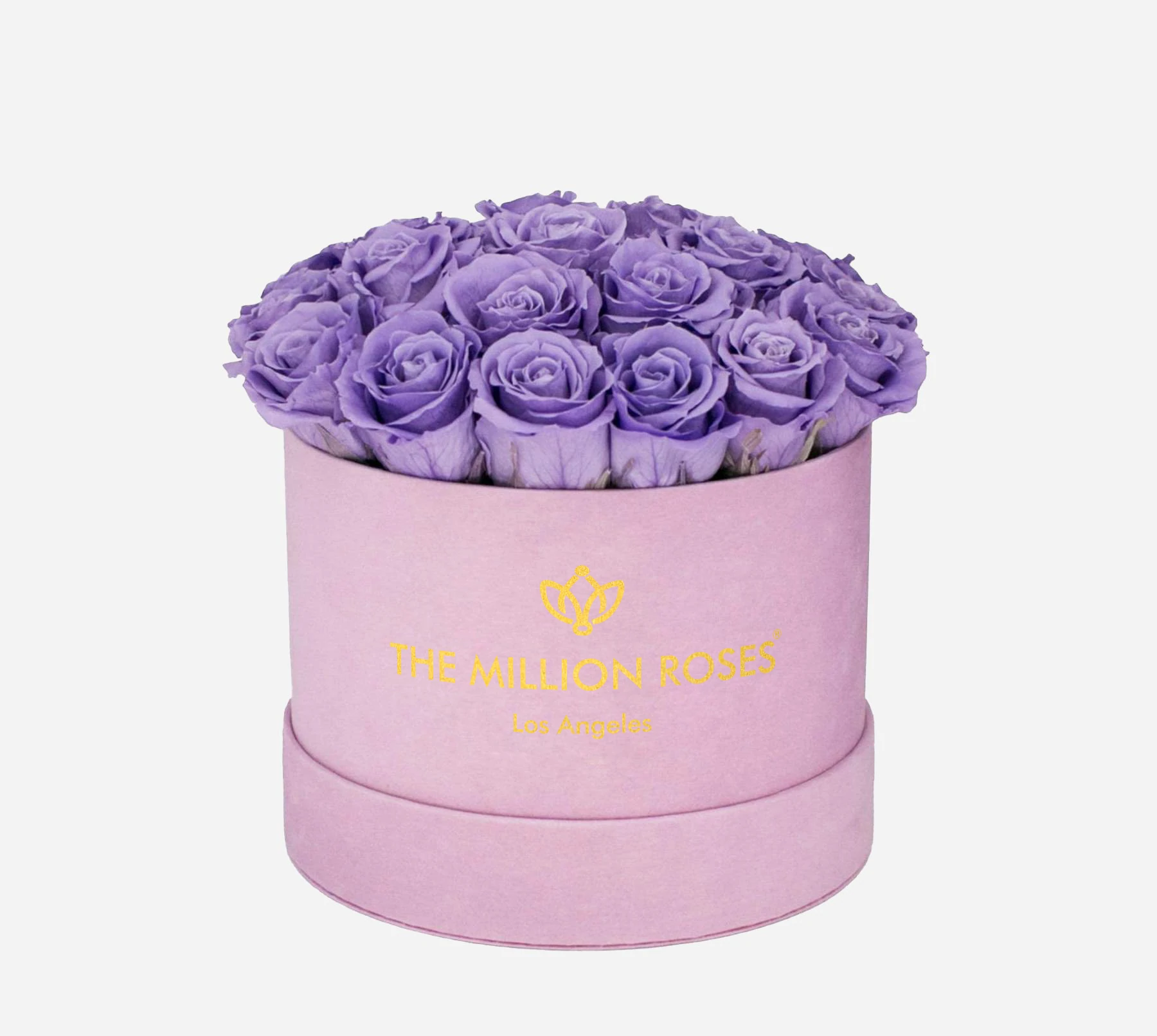 Violet Roses