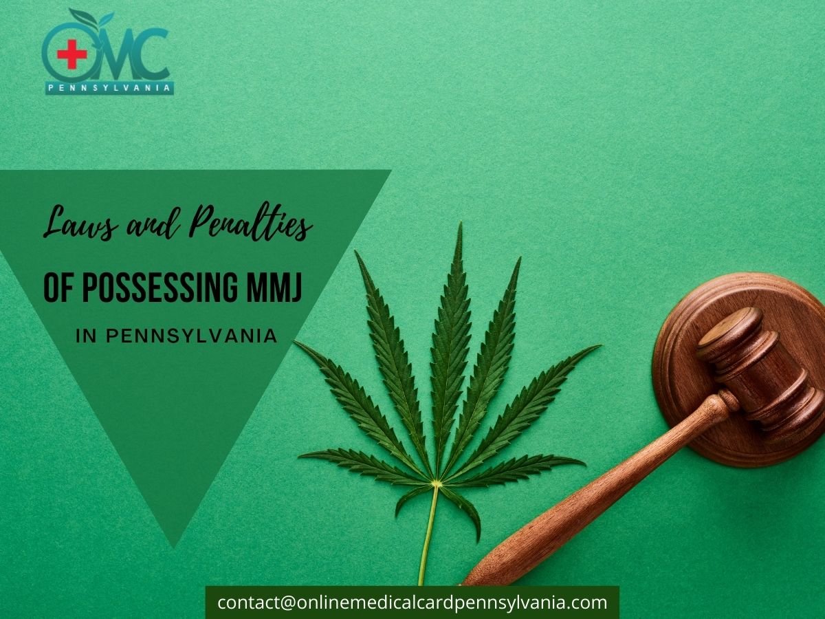 Laws and Penalties of Possessing MMJ