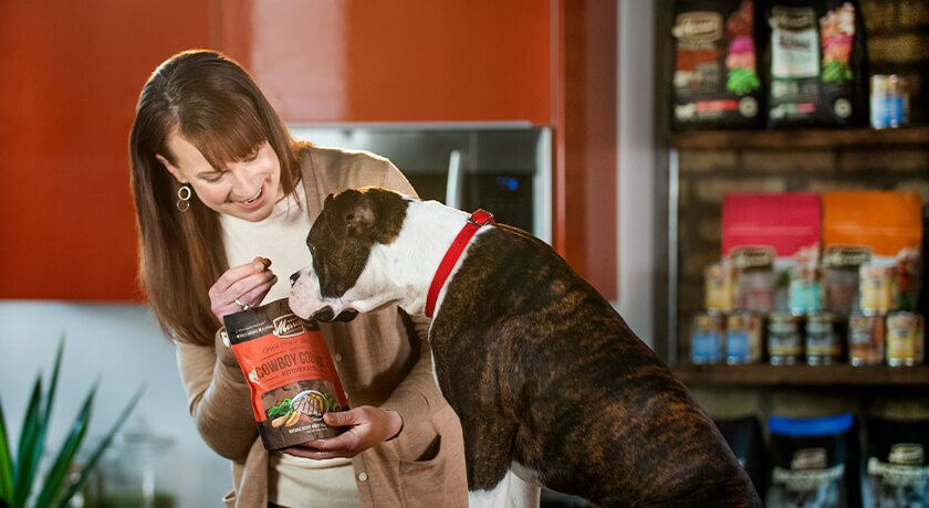 homemade dogs food