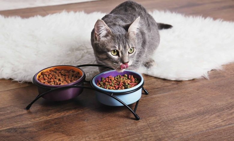 hypoallergenic cat food