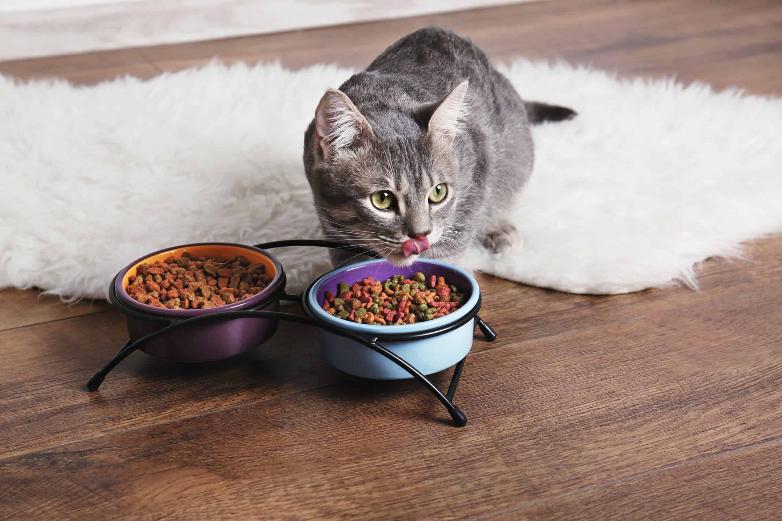 hypoallergenic cat food