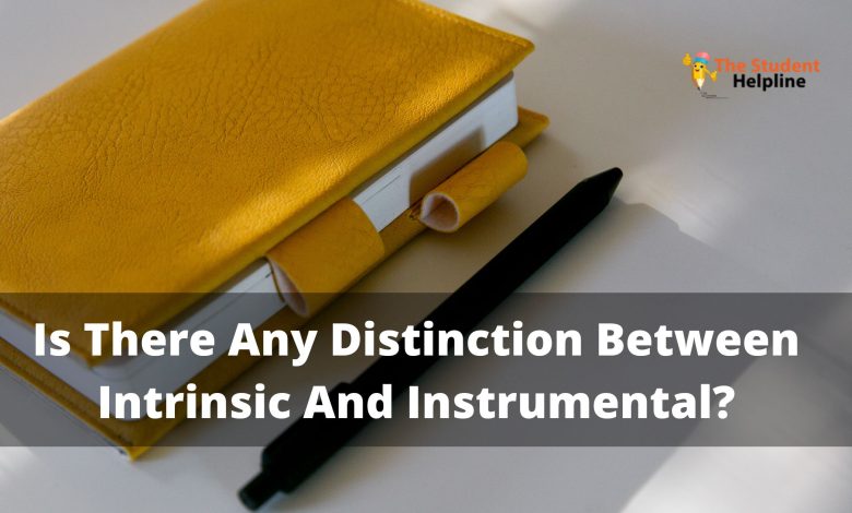 Is There Any Distinction Between Intrinsic And Instrumental