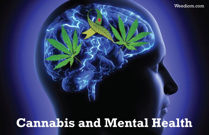 Cannabis on Mental Health